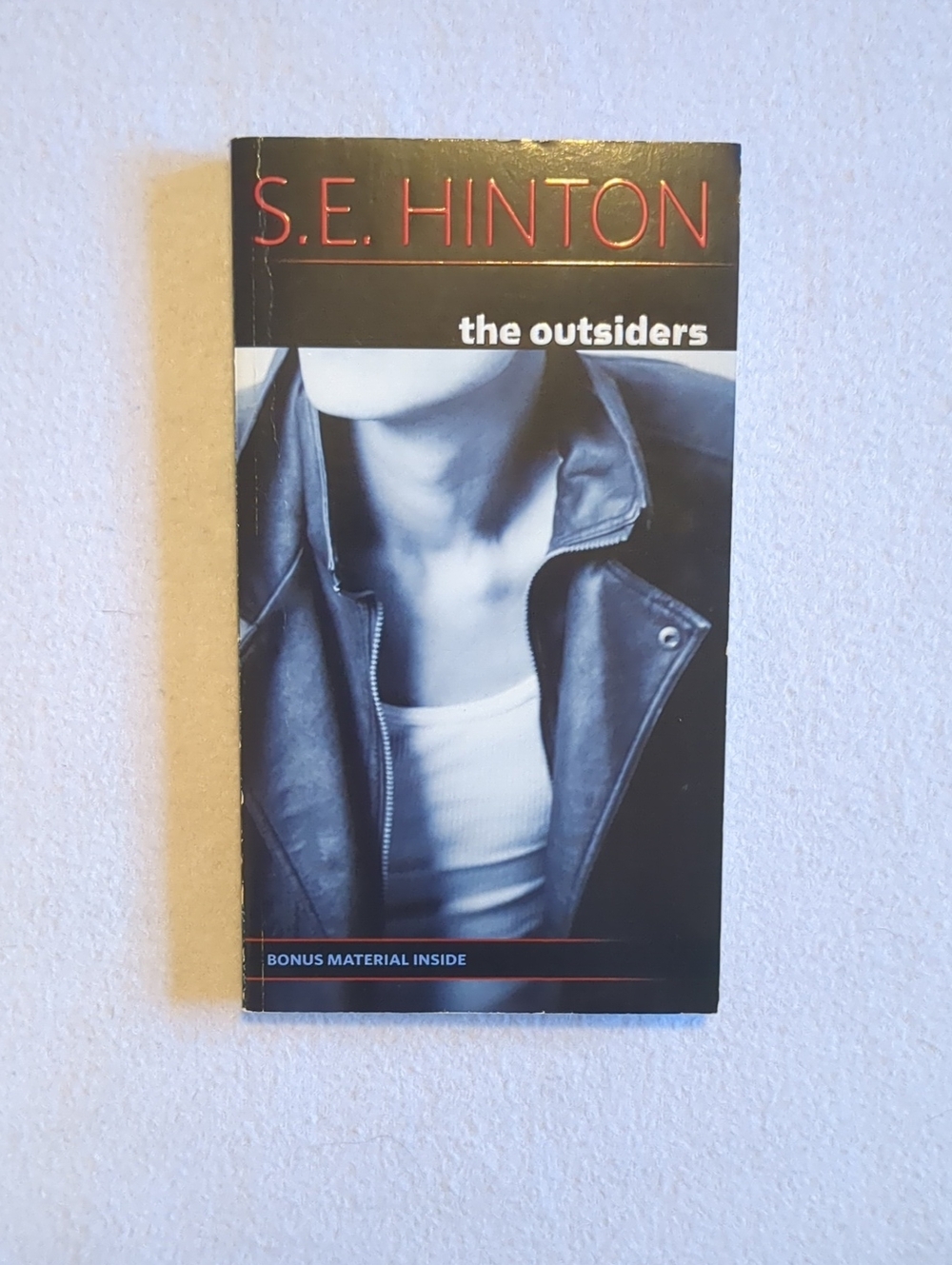 S. E. Hinton The Outsiders 1988 Trade Paperback Penguin YA Fiction Classic